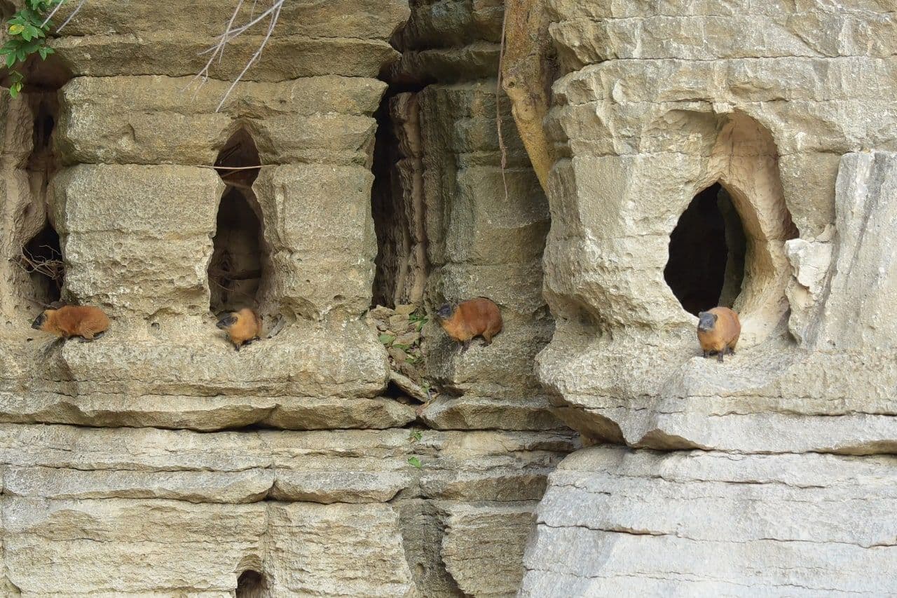 Sof Umar Cave photo 1